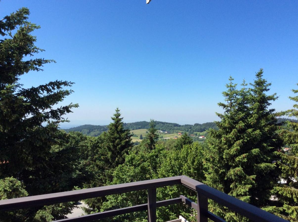 Wellness Apartment Sankt Englmar Εξωτερικό φωτογραφία
